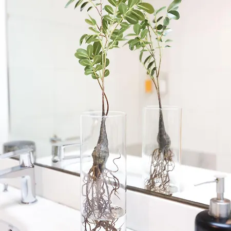& Co. J. Botanico Boutique Otel