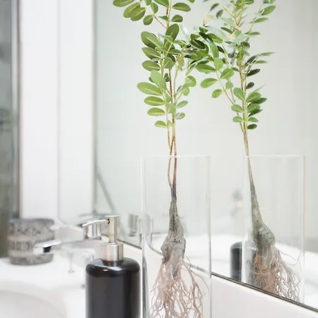 & Co. J. Botanico Boutique Otel Valensiya