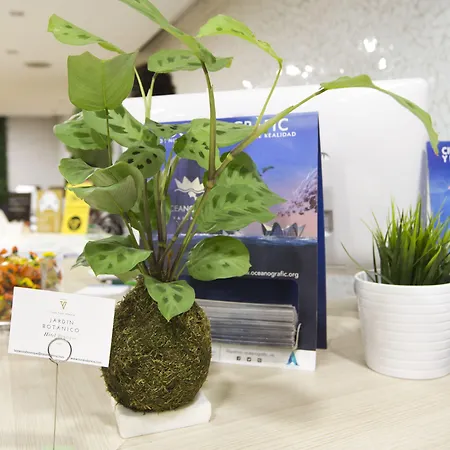 & Co. J. Botanico Boutique فندق فالنسيا